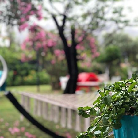 Cirali Marina Loftアパートメント エクステリア 写真